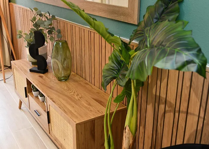 La Grande Terrasse Du Centre Appartement