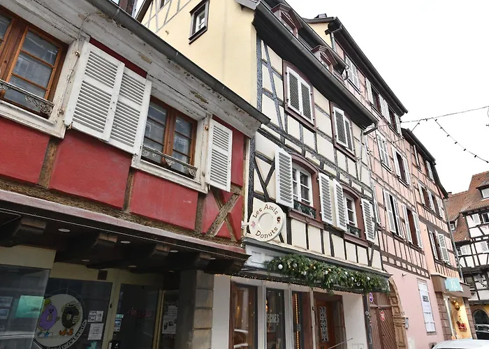 La Grande Terrasse Du Centre Appartement Colmar
